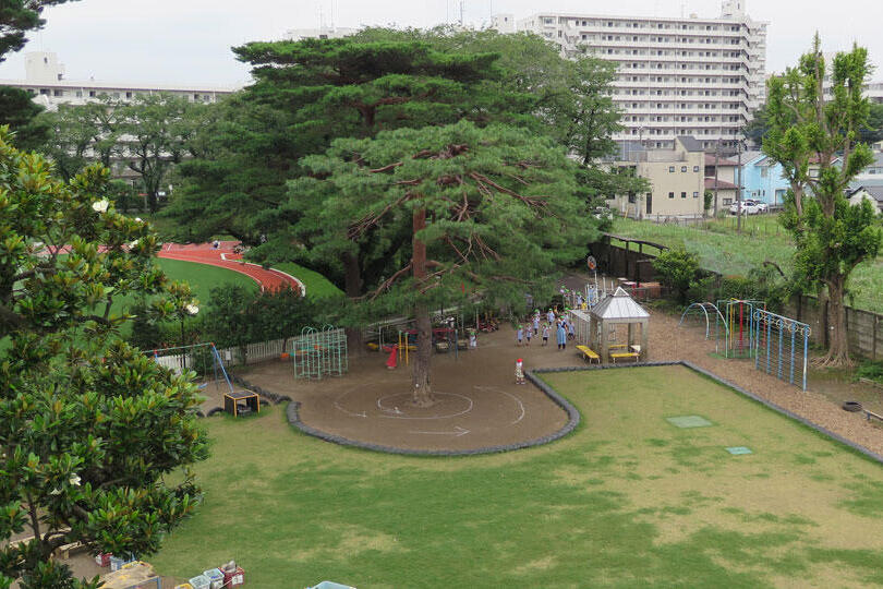 みどりのなかのしろい幼稚園